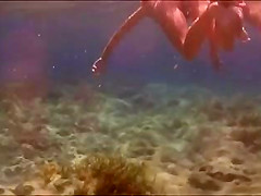 String fish