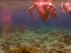 String fish