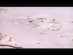 candid double teen beach crotch shot 79 80 cameltoes