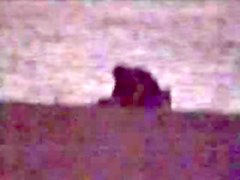 Night Beach Voyeur 5