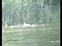 Amateur, Group Sex, Voyeur