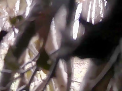 Voyeur pissing 156