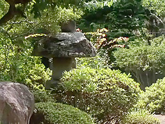 Incredible pornstar in best outdoor, japanese xxx clip