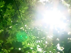 Best Japanese model Junko Hayama in Incredible Cunnilingus, Doggy Style JAV movie