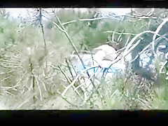 Hottest amateur Orgasm, Beach sex video