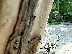 Japanese orgy in the island 2-4th