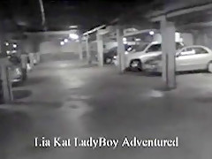 Crazy amateur Brunette, POV xxx scene