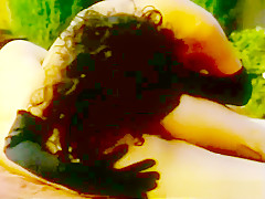 Horny pornstar in incredible masturbation, black and ebony sex clip