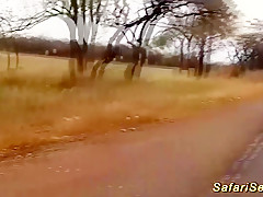 african babe picked up for outdoor fuck