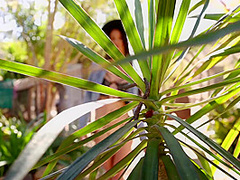 Hot Noon - Bella Donna