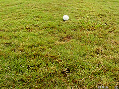 A Hole In One With Rachel Roxxx, Shane Dizzle - Brazzers