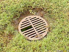 A Hole In One With Rachel Roxxx, Shane Dizzle - Brazzers