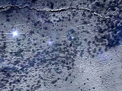 Craving Cum in Mouth - Bemefi