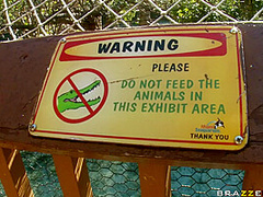 The Little Spermaid With Charles Dera, Lexi Belle - Brazzers