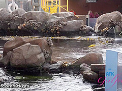 Cecelia Taylor in Virtual Date Movie - AtkGirlfriends