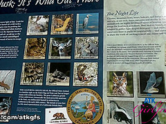 Riley Rose in Virtual Vacation Movie - AtkGirlfriends