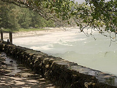 Swinging Breeze - Kloyali