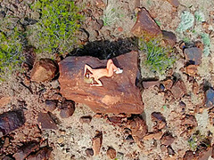 Day With A Pornstar: Abella Danger With Abella Danger, Small Hands - Brazzers