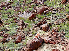 Day With A Pornstar: Abella Danger With Abella Danger, Small Hands - Brazzers