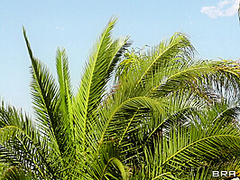 Two Milfs, One Cock With Diamond Foxxx, Holly Halston, Keiran Lee - Brazzers