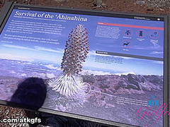 Summer Vixen in Virtual Vacation Movie - AtkGirlfriends