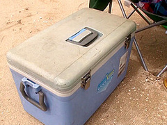 Love With The Horny Neighbor