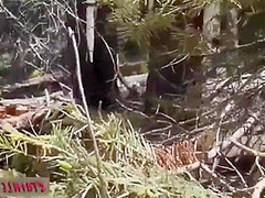 Mrsv Swallows Bbc Nut While On Hiking