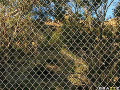 Orgasms In The Outfield With Bridgette B, Angelina Valentine, Scott Nails - Brazzers