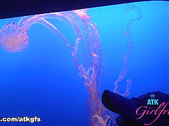 Riley Rose in Virtual Vacation Movie - AtkGirlfriends