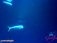 Riley Rose in Virtual Vacation Movie - AtkGirlfriends