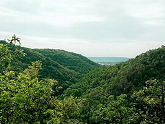 CUCK4K. She always dreamt about 2 cocks at once, he dreamt to see it and jerk off