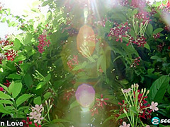 She Wore an Itsy Bitsy Polka Dot Bikini