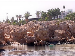 Topless Beach Paddle ball