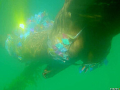 Submurges With Alexis Fawx, Scott Nails - Brazzers