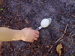 Field Day Fuck With Quinn Wilde, Duncan Saint - Brazzers