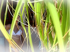 Ibiza Sex Party - Dvd