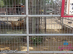 Zoey Jpeg in Virtual Date Movie - AtkGirlfriends