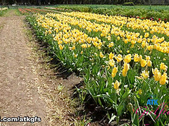 Zoey Jpeg in Virtual Date Movie - AtkGirlfriends