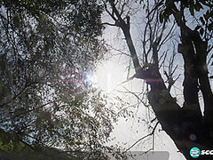 Sweetie Care: Clappin', Slappin', Teasin', Pleasin'