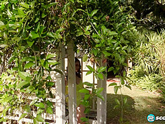 Sweetie Care: Clappin', Slappin', Teasin', Pleasin'