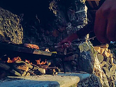 Vanessa S In First Dream Lesbian Experience And We Think You Will Get Very Horny Watching Them