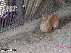 Cecelia Taylor in Virtual Date Movie - AtkGirlfriends