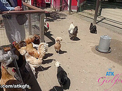 Cecelia Taylor in Virtual Date Movie - AtkGirlfriends