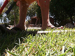 Balls Deep In The Deep End With Xander Corvus, Holly Halston - Brazzers