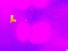 Thick And Juicy Booty With Luna Star, Air Thugger - Brazzers