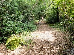 On Vacation Hiking Hude Outdoors With Rebeka Ruby And Cheri Abandoned Island