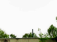 Sexame Street's Follow That Bird - Vip4k