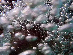 Lilly Mays Masturbates With A Dildo Underwater In The Rooftop Jacuzzi With Closeups