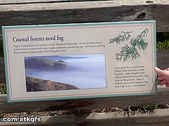 Riley Rose in Virtual Vacation Movie - AtkGirlfriends