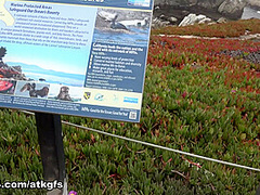 Riley Rose in Virtual Vacation Movie - AtkGirlfriends